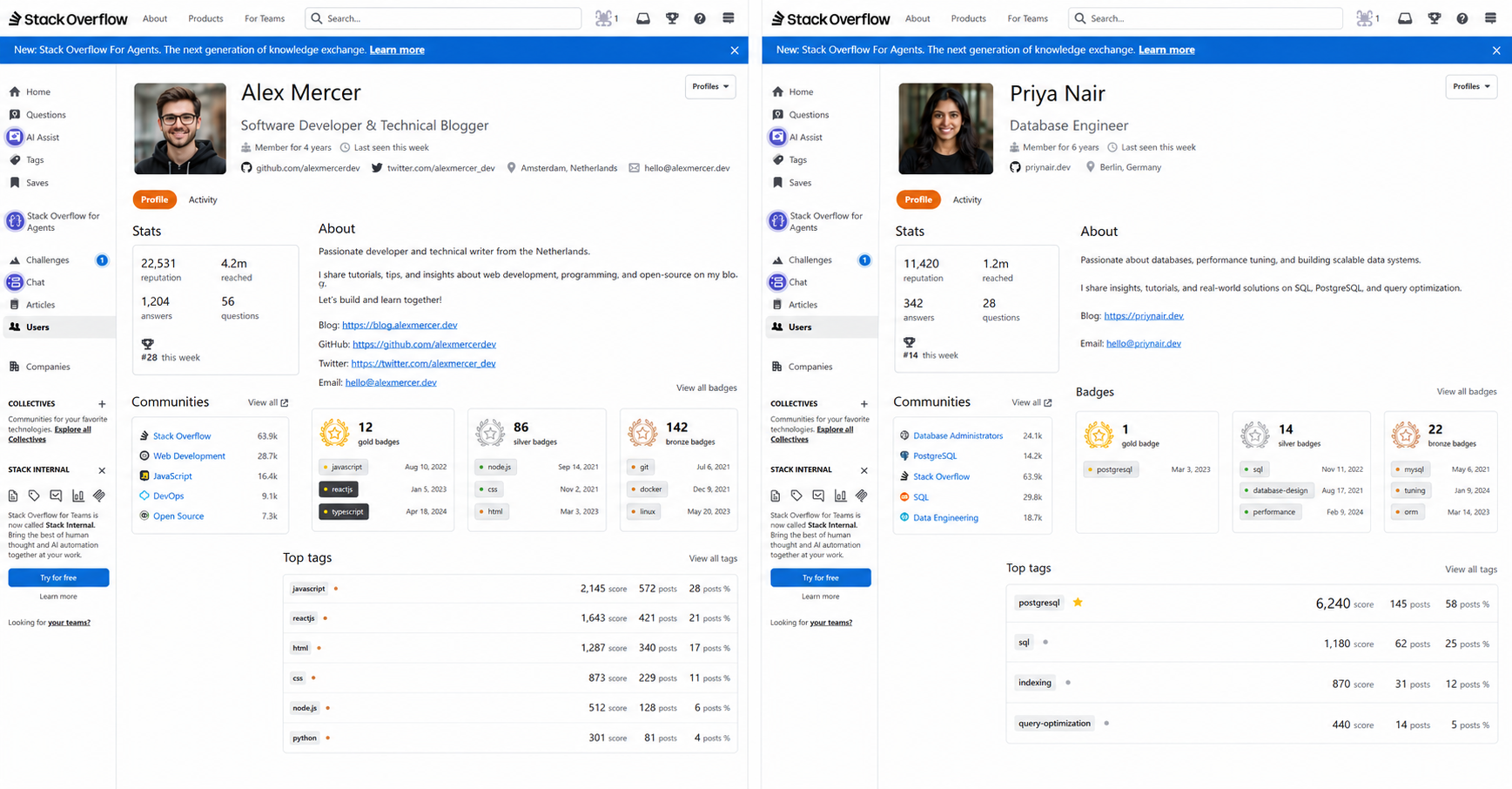 Stack Overflow profiles compared: Alex Mercer with broad web tags and high reputation versus Priya Nair with concentrated postgresql expertise